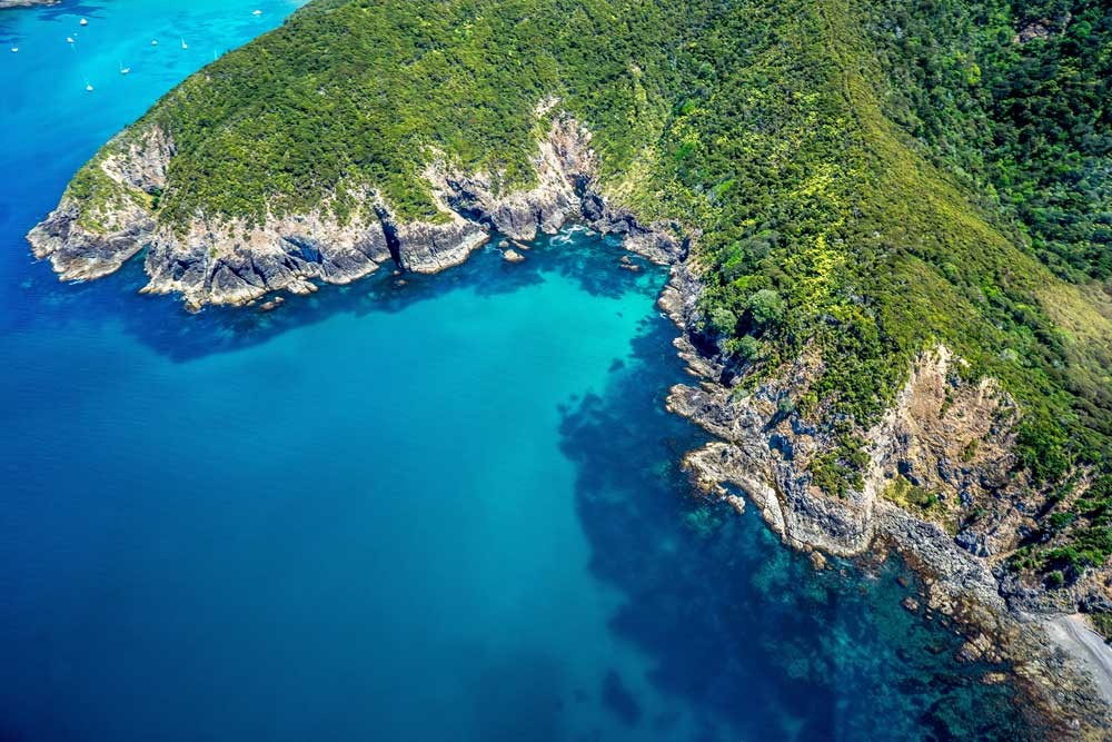 fotografía aérea de una montaña con vegetación y rodeada de agua cristalina